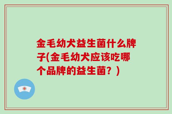 金毛幼犬益生菌什么牌子(金毛幼犬应该吃哪个品牌的益生菌？)