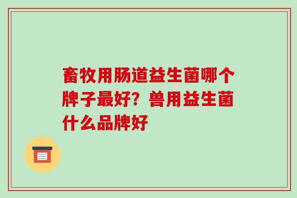 畜牧用肠道益生菌哪个牌子好?兽用益生菌什么品牌好 畜牧用肠道益生菌哪个牌子好?兽用益生菌什么品牌好