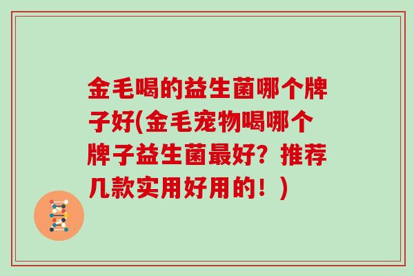 金毛喝的益生菌哪个牌子好(金毛宠物喝哪个牌子益生菌好？推荐几款实用好用的！)