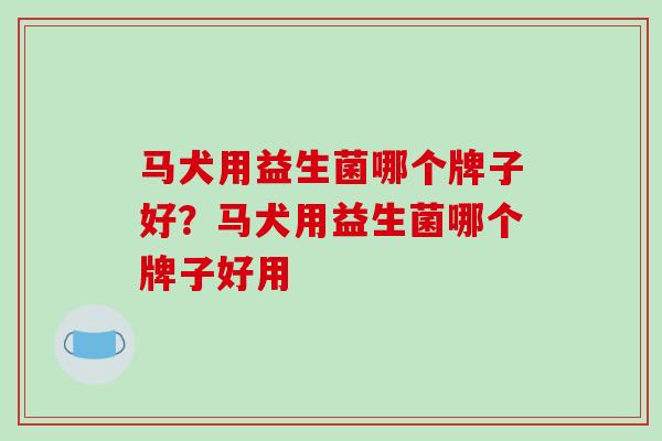 马犬用益生菌哪个牌子好？马犬用益生菌哪个牌子好用