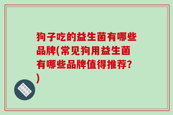 狗子吃的益生菌有哪些品牌(常见狗用益生菌有哪些品牌值得推荐？)