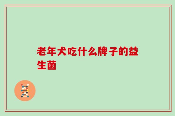 老年犬吃什么牌子的益生菌