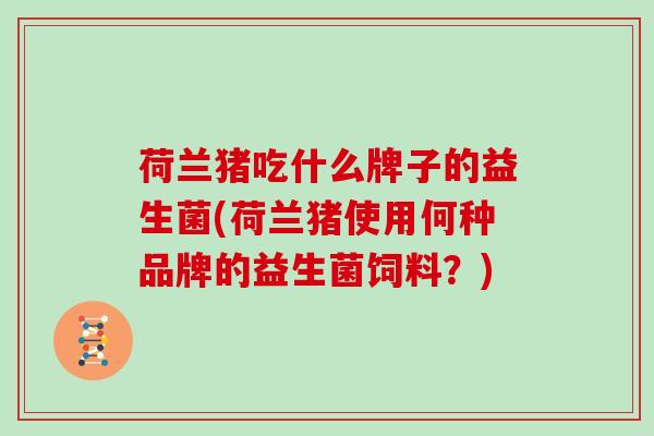 荷兰猪吃什么牌子的益生菌(荷兰猪使用何种品牌的益生菌饲料？)