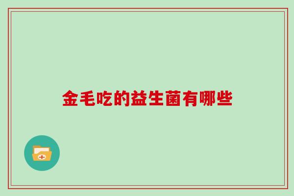 金毛吃的益生菌有哪些