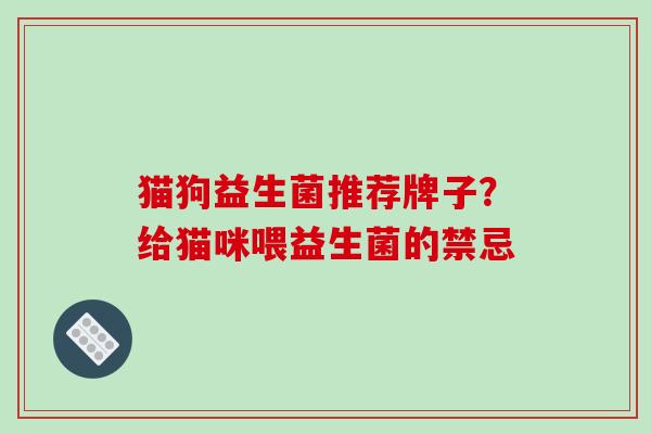 猫狗益生菌推荐牌子？给猫咪喂益生菌的禁忌
