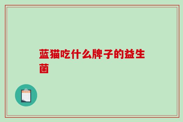 蓝猫吃什么牌子的益生菌