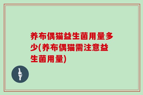 养布偶猫益生菌用量多少(养布偶猫需注意益生菌用量)
