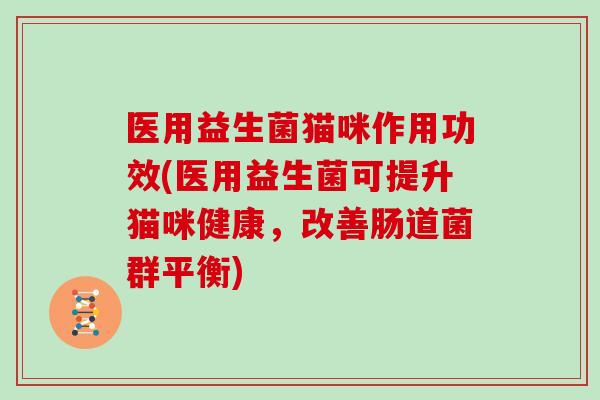 医用益生菌猫咪作用功效(医用益生菌可提升猫咪健康，改善肠道菌群平衡)