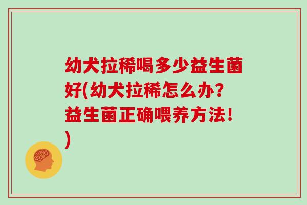 幼犬拉稀喝多少益生菌好(幼犬拉稀怎么办？益生菌正确喂养方法！)