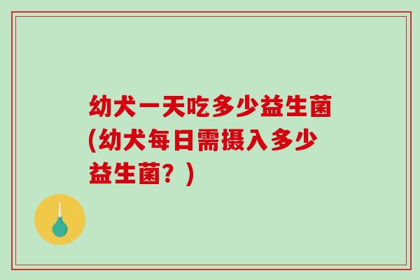 幼犬一天吃多少益生菌(幼犬每日需摄入多少益生菌？)