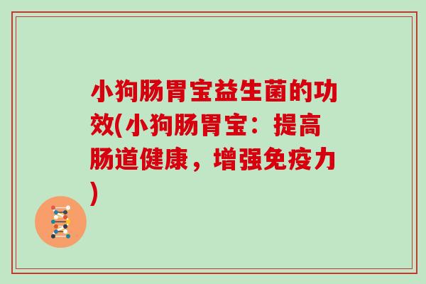 小狗肠胃宝益生菌的功效(小狗肠胃宝：提高肠道健康，增强免疫力)