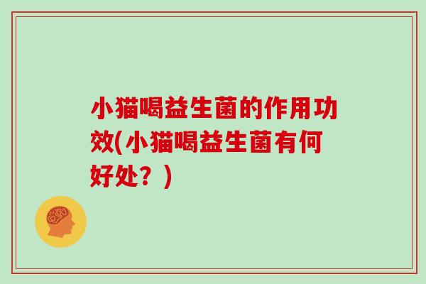 小猫喝益生菌的作用功效(小猫喝益生菌有何好处？)
