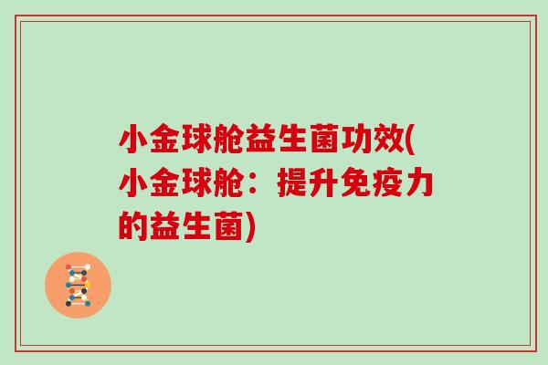小金球舱益生菌功效(小金球舱：提升力的益生菌)