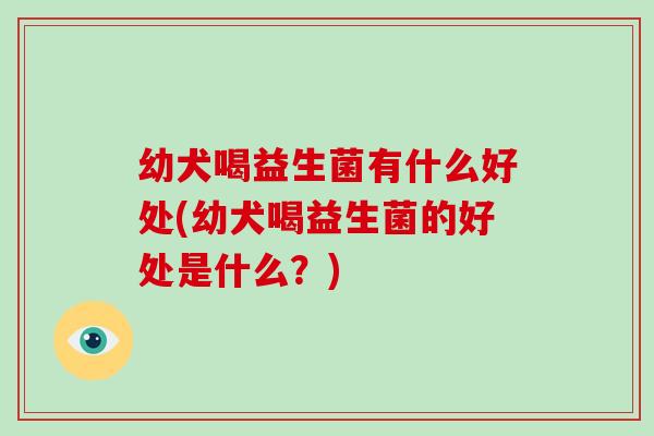 幼犬喝益生菌有什么好处(幼犬喝益生菌的好处是什么？)