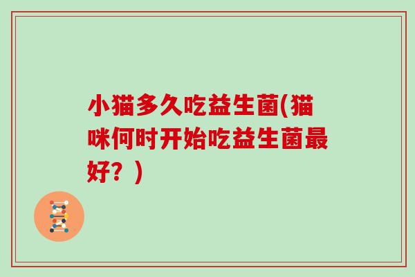 小猫多久吃益生菌(猫咪何时开始吃益生菌好？)