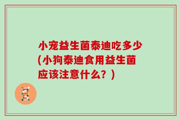 小宠益生菌泰迪吃多少(小狗泰迪食用益生菌应该注意什么?) 小宠益生菌泰迪吃多少(小狗泰迪食用益生菌应该注意什么?)