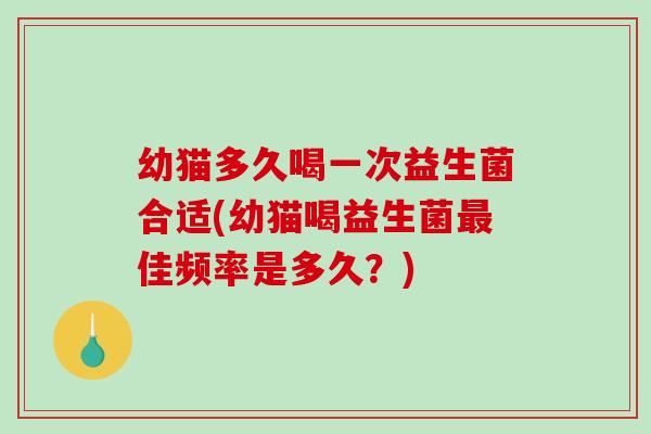 幼猫多久喝一次益生菌合适(幼猫喝益生菌最佳频率是多久？)