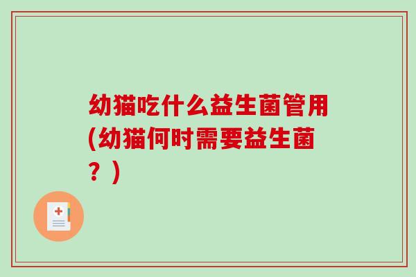 幼猫吃什么益生菌管用(幼猫何时需要益生菌？)