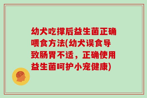幼犬吃撑后益生菌正确喂食方法(幼犬误食导致肠胃不适，正确使用益生菌呵护小宠健康)