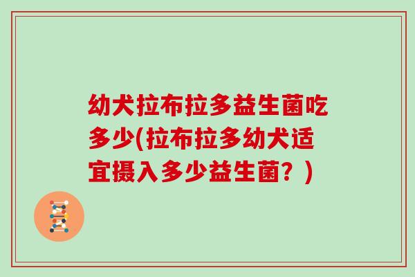 幼犬拉布拉多益生菌吃多少(拉布拉多幼犬适宜摄入多少益生菌？)