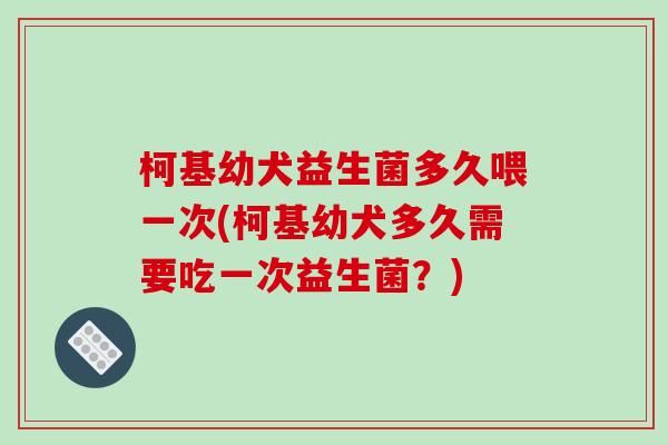 柯基幼犬益生菌多久喂一次(柯基幼犬多久需要吃一次益生菌？)