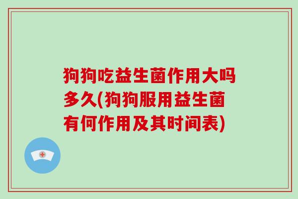 狗狗吃益生菌作用大吗多久(狗狗服用益生菌有何作用及其时间表)