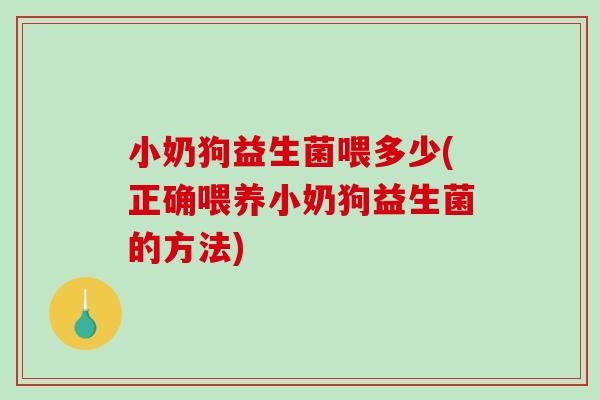 小奶狗益生菌喂多少(正确喂养小奶狗益生菌的方法)