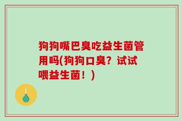 狗狗嘴巴臭吃益生菌管用吗(狗狗口臭？试试喂益生菌！)