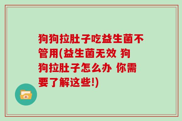 狗狗拉肚子吃益生菌不管用(益生菌无效 狗狗拉肚子怎么办 你需要了解这些!)