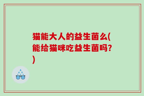 猫能大人的益生菌么(能给猫咪吃益生菌吗？)