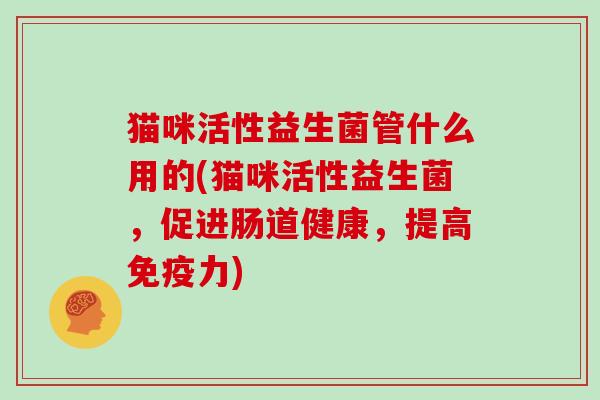 猫咪活性益生菌管什么用的(猫咪活性益生菌，促进肠道健康，提高免疫力)