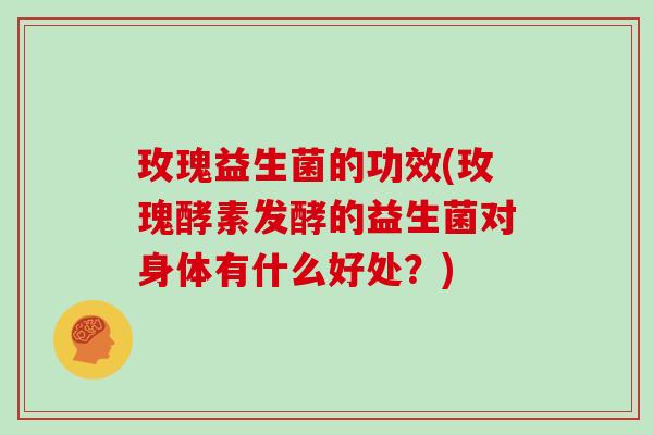 玫瑰益生菌的功效(玫瑰酵素发酵的益生菌对身体有什么好处？)