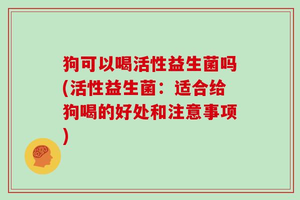 狗可以喝活性益生菌吗(活性益生菌：适合给狗喝的好处和注意事项)