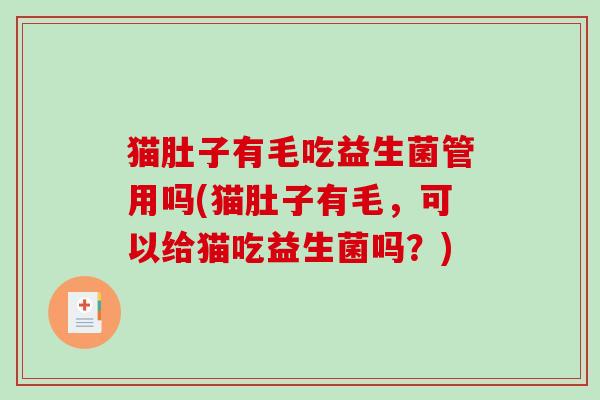猫肚子有毛吃益生菌管用吗(猫肚子有毛，可以给猫吃益生菌吗？)