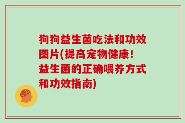 狗狗益生菌吃法和功效图片(提高宠物健康！益生菌的正确喂养方式和功效指南)