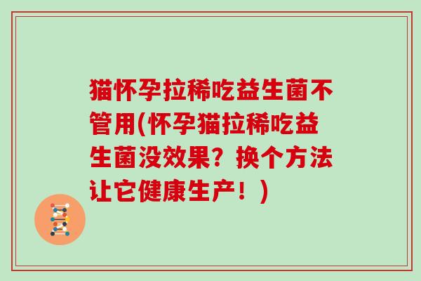 猫怀孕拉稀吃益生菌不管用(怀孕猫拉稀吃益生菌没效果？换个方法让它健康生产！)