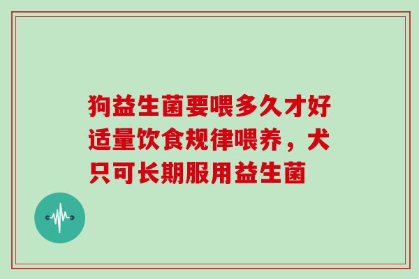狗益生菌要喂多久才好适量饮食规律喂养，犬只可长期服用益生菌