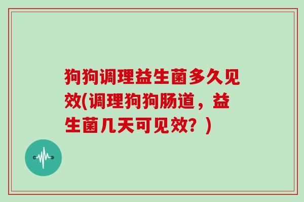 狗狗调理益生菌多久见效(调理狗狗肠道，益生菌几天可见效？)