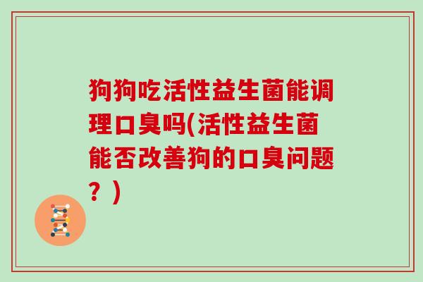 狗狗吃活性益生菌能调理口臭吗(活性益生菌能否改善狗的口臭问题？)