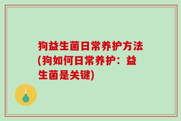 狗益生菌日常养护方法(狗如何日常养护：益生菌是关键)