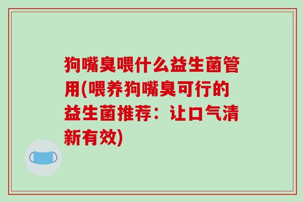 狗嘴臭喂什么益生菌管用(喂养狗嘴臭可行的益生菌推荐：让口气清新有效)