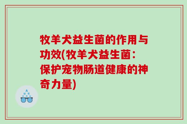牧羊犬益生菌的作用与功效(牧羊犬益生菌:保护宠物肠道健康的神奇力量) 牧羊犬益生菌的作用与功效(牧羊犬益生菌:保护宠物肠道健康的神奇力量)