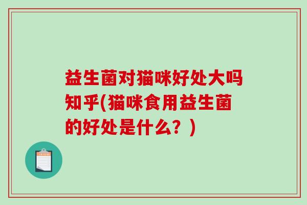益生菌对猫咪好处大吗知乎(猫咪食用益生菌的好处是什么？)