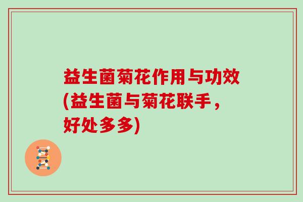 益生菌菊花作用与功效(益生菌与菊花联手，好处多多)