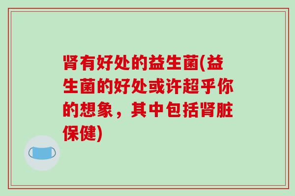 肾有好处的益生菌(益生菌的好处或许超乎你的想象，其中包括肾脏保健)