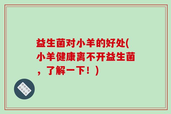 益生菌对小羊的好处(小羊健康离不开益生菌,了解一下!) 益生菌对小羊的好处(小羊健康离不开益生菌,了解一下!)
