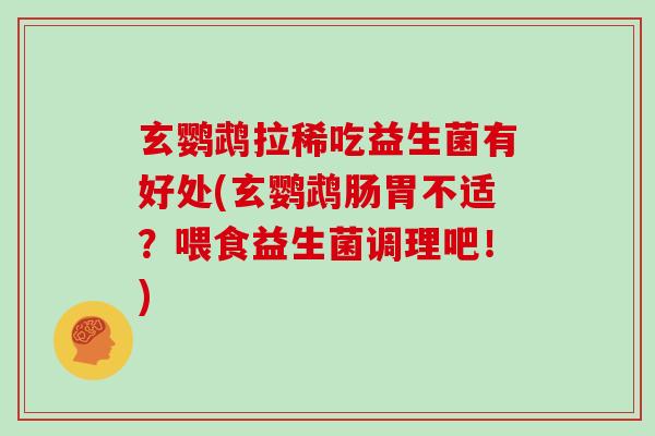 玄鹦鹉拉稀吃益生菌有好处(玄鹦鹉肠胃不适?喂食益生菌调理吧!) 玄鹦鹉拉稀吃益生菌有好处(玄鹦鹉肠胃不适?喂食益生菌调理吧!)