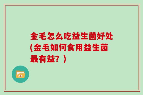 金毛怎么吃益生菌好处(金毛如何食用益生菌最有益？)