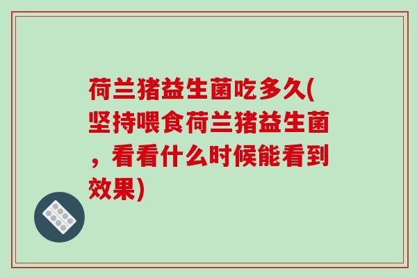 荷兰猪益生菌吃多久(坚持喂食荷兰猪益生菌，看看什么时候能看到效果)