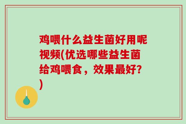 鸡喂什么益生菌好用呢视频(优选哪些益生菌给鸡喂食，效果最好？)